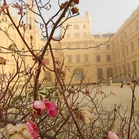 فندق Zamecky ليدنيس